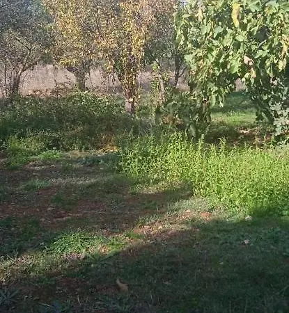 Casa Rural Roldan En Holiday home